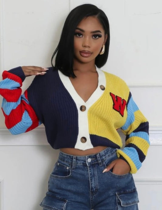 Color Block Crop Sweater Cardigan